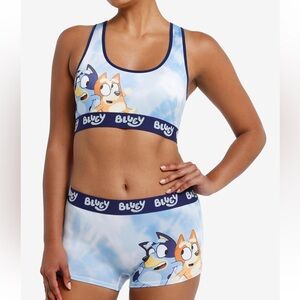Adult Bluey bra & boyshort set NEW!